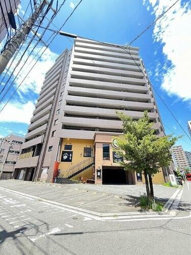 フィオレンティーナ 14階建