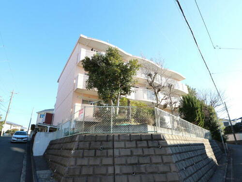 サンライズ青葉台 3階建
