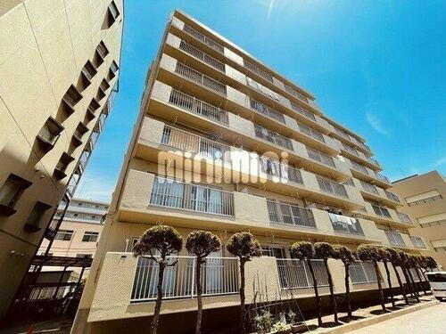 千葉県柏市柏３丁目 賃貸マンション