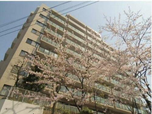 神奈川県藤沢市藤沢 賃貸マンション