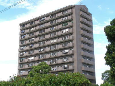 静岡県浜松市中央区中郡町 賃貸マンション