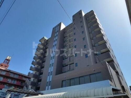 スタークレスト