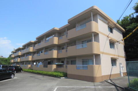 静岡県静岡市清水区草薙３丁目 賃貸マンション