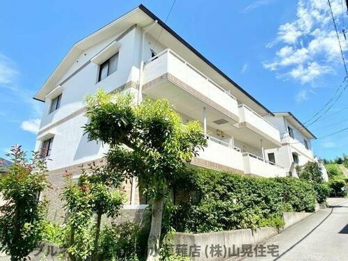 静岡県静岡市清水区草薙杉道２丁目 賃貸マンション