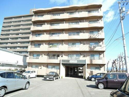 マリベールＡＯＹＡＧＩ