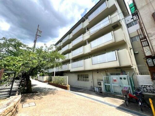 兵庫県神戸市東灘区魚崎中町４丁目 賃貸マンション