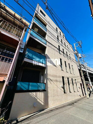 ＡＬＩ’Ｉ　　ＳＨＩＲＯＫＡＮＥＤＡＩ