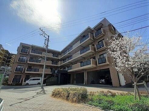 神奈川県藤沢市城南４丁目 賃貸マンション