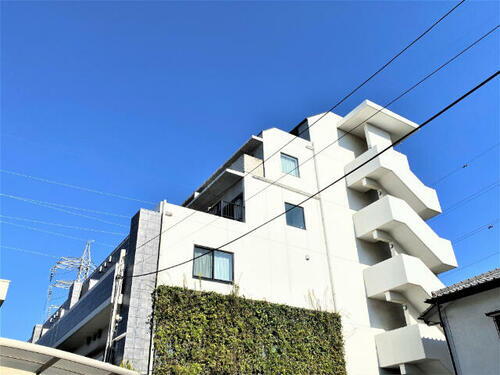 千葉県市川市市川南３丁目 賃貸マンション