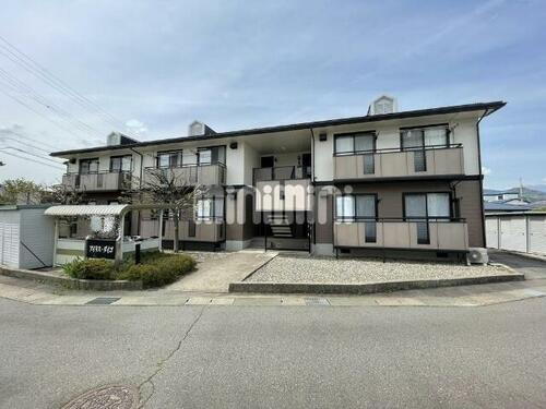 アイリス・ダイゴ