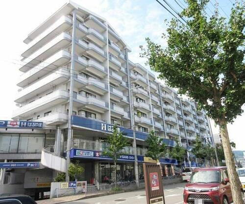京都府京都市山科区東野北井ノ上町 8階建