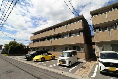 パームツリー　Ｂ