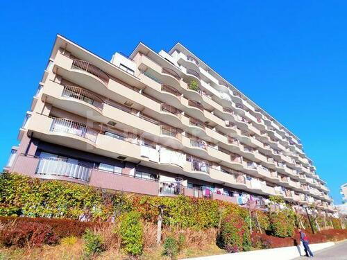千葉県流山市加１丁目 9階建 築32年9ヶ月