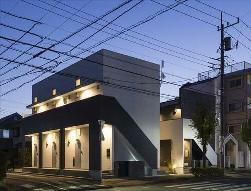 マクト北柏（マクトキタカシワ）