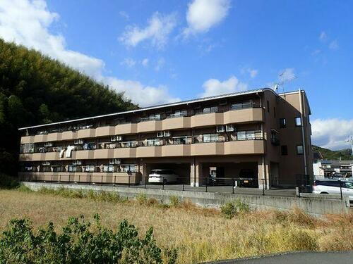 高知県高知市朝倉丁 賃貸マンション