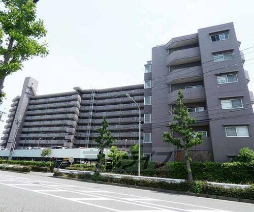 京都府京都市伏見区淀美豆町 賃貸マンション