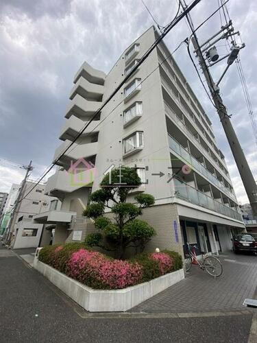 エステート野田 7階建
