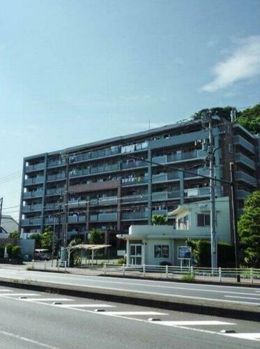 神奈川県横浜市金沢区柴町 7階建