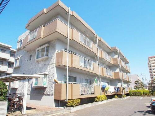 ドミトリー西船