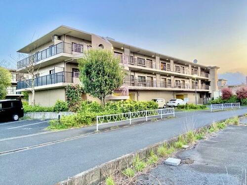 神奈川県相模原市南区上鶴間３丁目 賃貸マンション