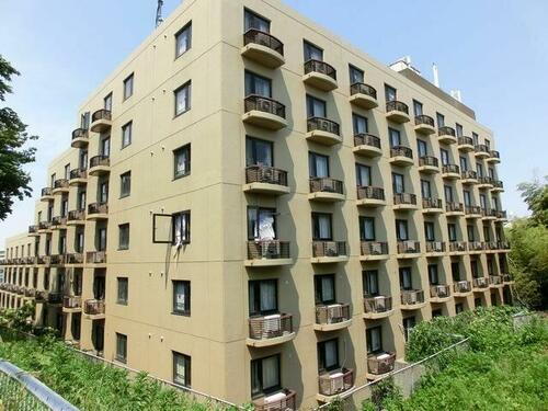 千葉県松戸市上本郷 賃貸マンション