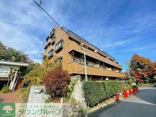 埼玉県狭山市鵜ノ木 賃貸マンション