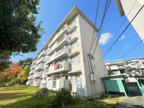 逆瀬川団地１５号棟 5階建