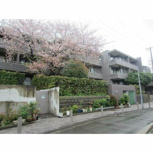 神奈川県横浜市神奈川区旭ケ丘 賃貸マンション