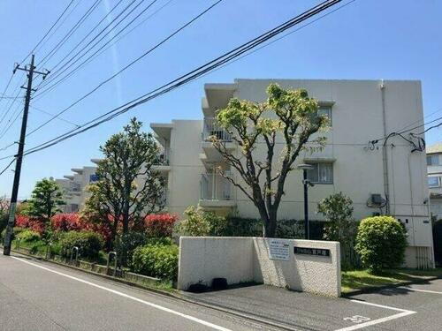 神奈川県横浜市戸塚区平戸３丁目 賃貸マンション