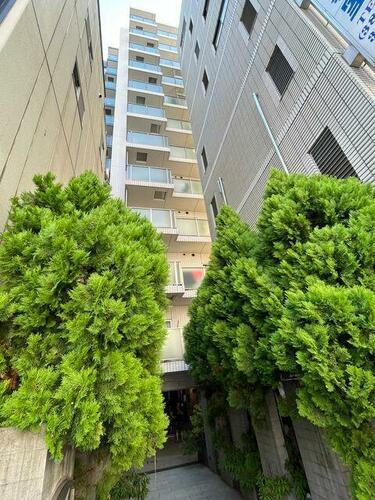 東京都台東区三ノ輪１丁目 13階建 築15年6ヶ月
