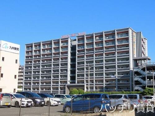 福岡県福岡市東区箱崎ふ頭３丁目 10階建