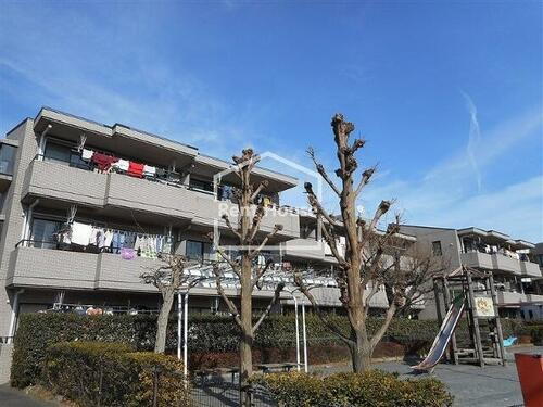 東京都府中市天神町３丁目 3階建 築31年11ヶ月