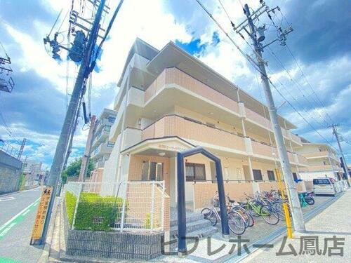 大阪府高石市高師浜４丁目 4階建