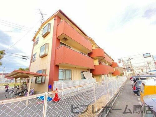 大阪府堺市西区鳳西町１丁 3階建