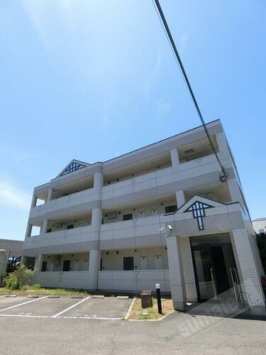 ピースフル　モア　メルセ