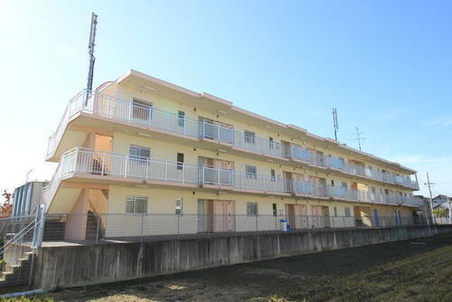 コンプリーションⅤ