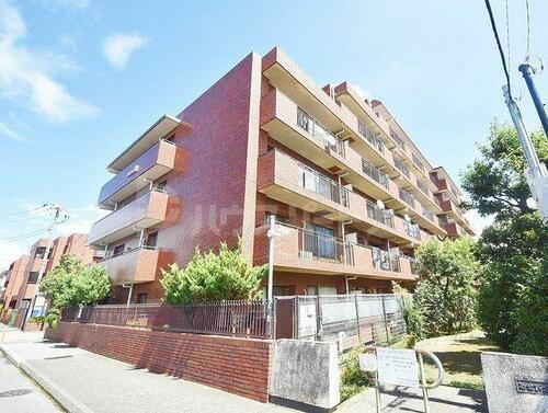 千葉県市川市新田２丁目 賃貸マンション