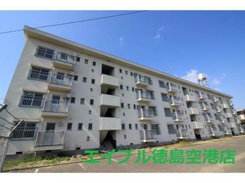 徳島県板野郡松茂町笹木野字北上 賃貸マンション