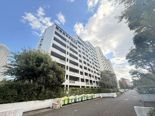 兵庫県神戸市東灘区向洋町中５丁目 築37年5ヶ月 14階建