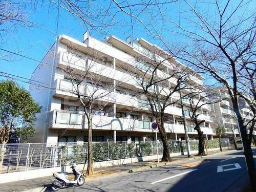 千葉県松戸市常盤平４丁目 賃貸マンション