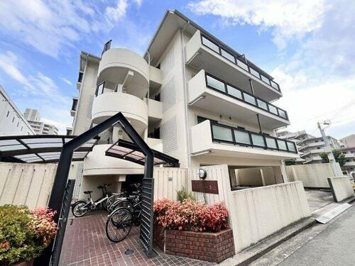 ピルティー本山