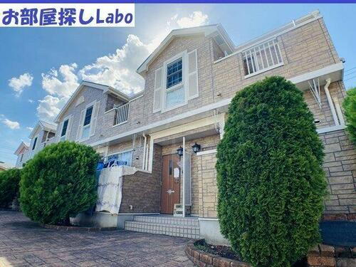 プラム　ブルック