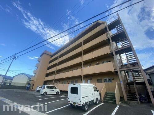 徳島県徳島市応神町古川字戎子野 賃貸マンション