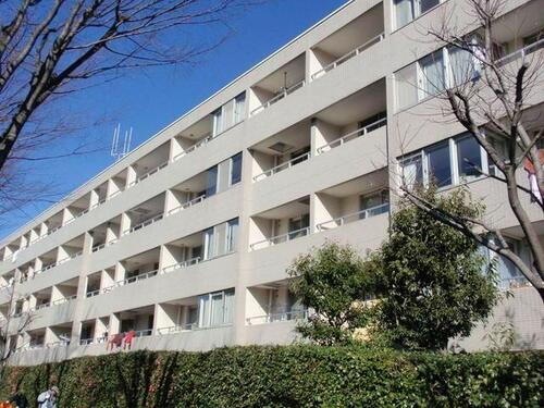 神奈川県横浜市保土ケ谷区境木本町 賃貸マンション