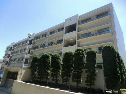 千葉県松戸市三ケ月 賃貸マンション