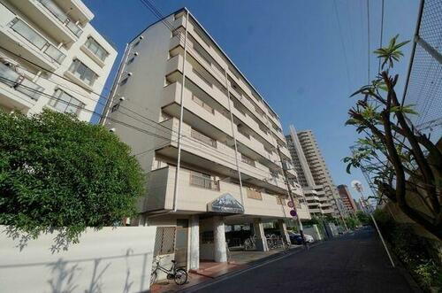 コーエイハイツ