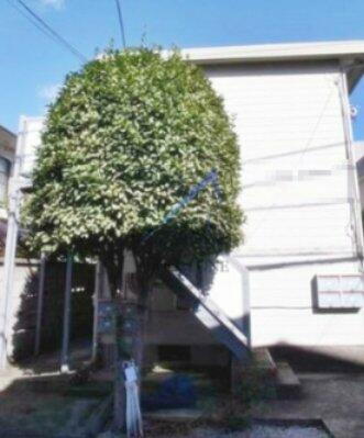 コスモハイツ 外観です。