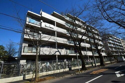 千葉県松戸市常盤平４丁目 賃貸マンション