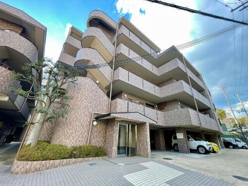 兵庫県神戸市兵庫区荒田町３丁目 築29年3ヶ月 5階建