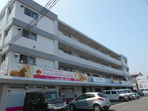 広島県広島市佐伯区千同２丁目 4階建 築44年4ヶ月